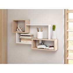 Trio 005 falipolc