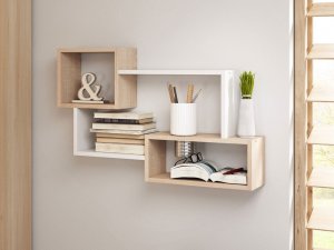 Trio 005 falipolc