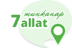 7 nap alatt (505)
